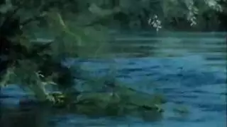 صبي ينيك ميلف أربعينية في البحيرة بجنون