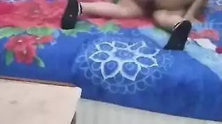 ستة الحمار العربي الساخنة