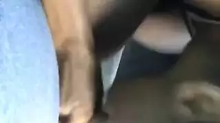 رقبة الديك الرومي