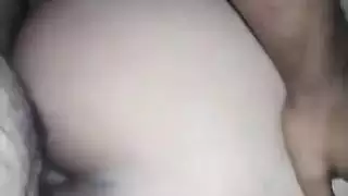 الحمار العربي الساخن فواك