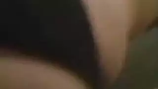 المغربي العربية الحمار الكبير ماكس المشاركة