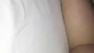 الحمار العربي