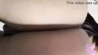 العرض الحسي للهواة الرطب والبري