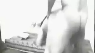 الكلبة العربية