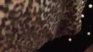 اللسان الحجاب التركي