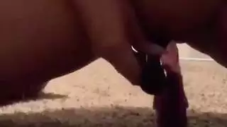 الجبهة العربية ارضاء نفسها مع لعبة