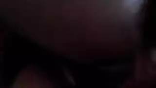 اللاتينية / العربية الديك