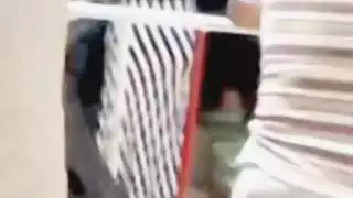 العربية التونسية الحمار الكبير