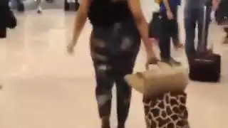 الحمار العربي الكبير في الشرق الأوسط