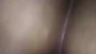 الحمار العربي سخيف