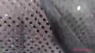 المفضل لدى السلطان