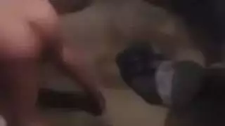 عربي مصري