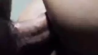 نائب الرئيس بداخلي أحب زوجتي العربية