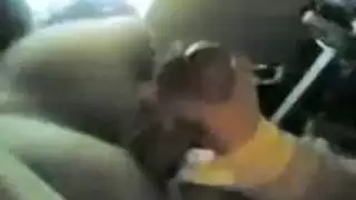 بلدي التركية تلعب مع الديك