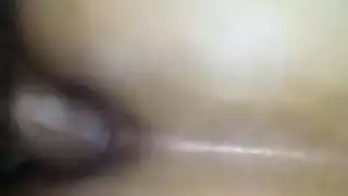 تقليم