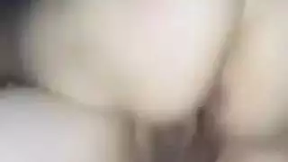 الديك التركي الكبير