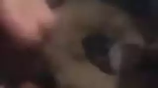 ريم اللبوه شرموطة الجمهوريه بتتناك من زبون يصورها ويفضحها