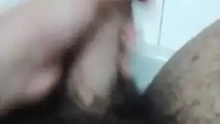ديك عربي صغير