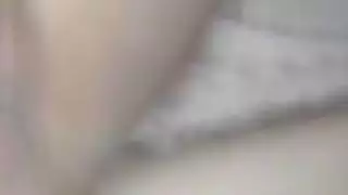 الحمار العربي سخيف