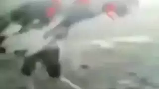 الديك الأسود العربي
