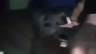 ماروكين في حالة سكر شارموتا
