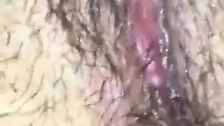 الحمار لطيفة من العراق