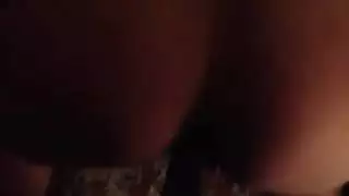 أسلوب الكلب من ديك أسود كبير جامايكي