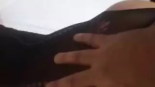 الشرج العربي في فرنسا