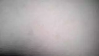 الحمار الرطب الساخنة