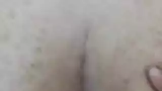 الحمار صديقته الإيرانية