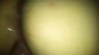 الجنس العربي